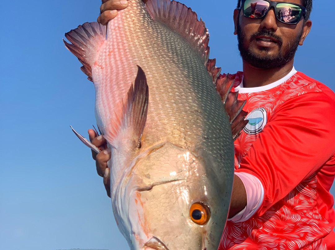 Game Fisher Maldives景点图片