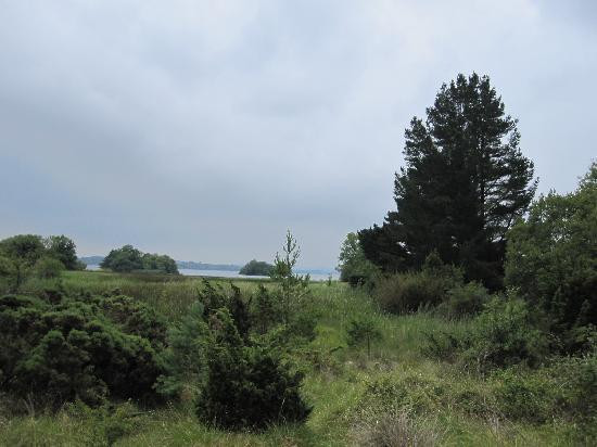 Portumna Forest Park-Portumna必去景点