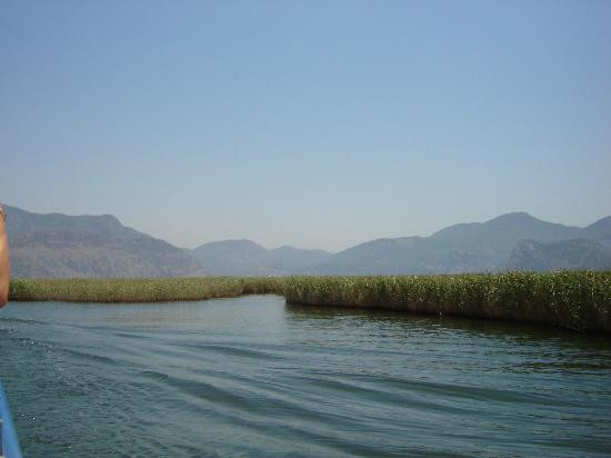 Dalyan Nehri景点图片