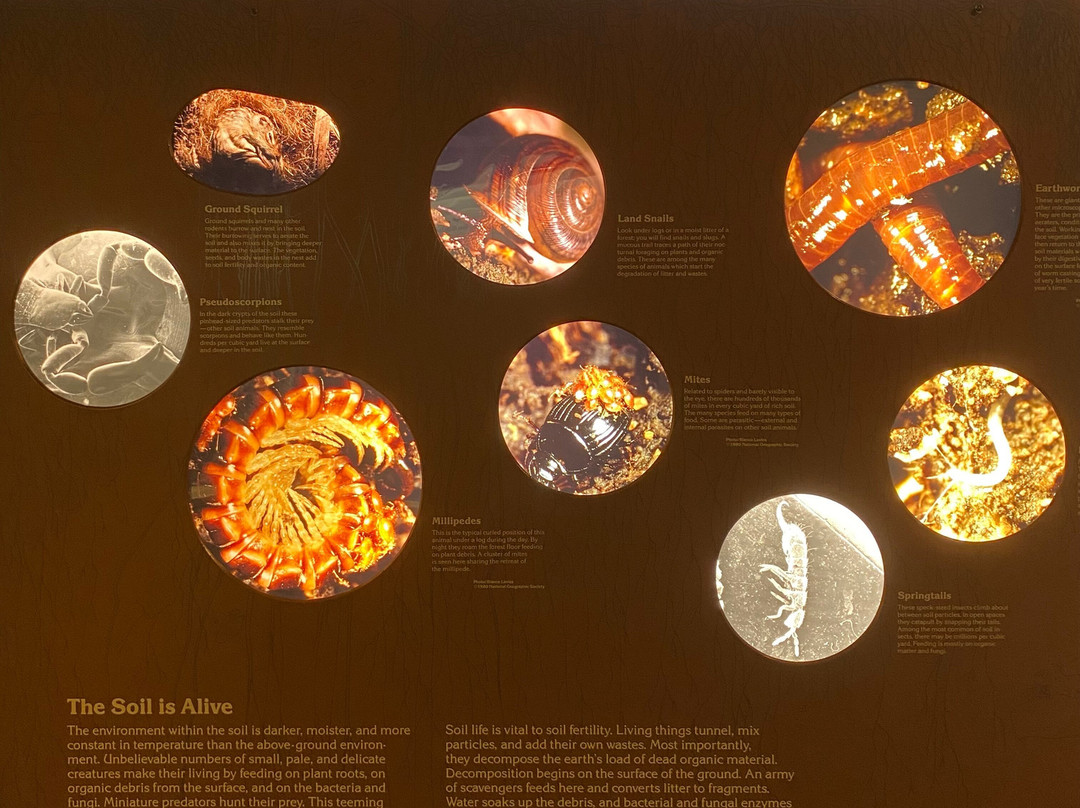 Museum of Natural History-爱荷华城必去景点