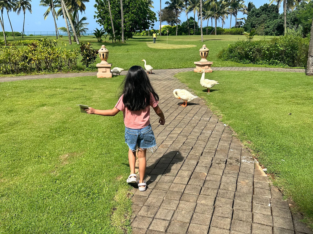 泰姬珍品度假村主图