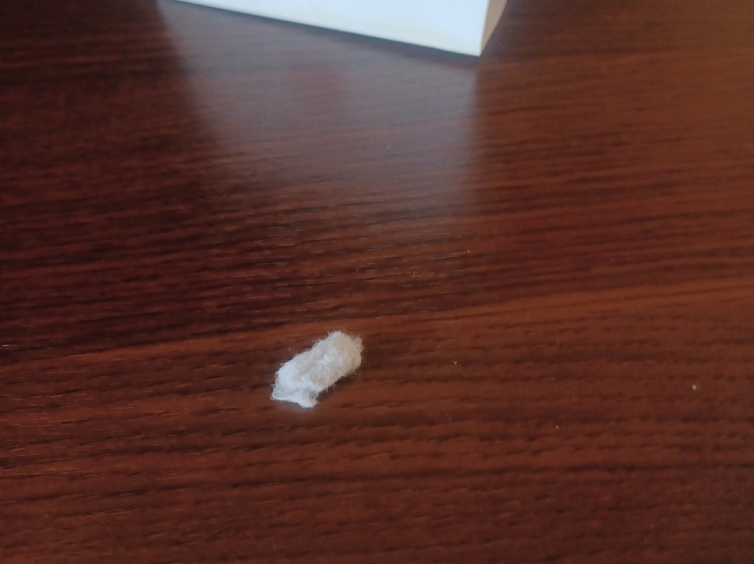 Quality Inn Albertville US 431主图