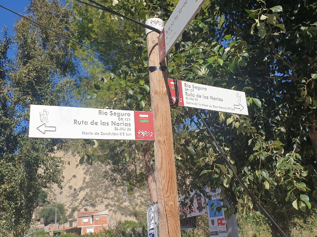 Carrera Ruta de las Norias-Abarán必去景点