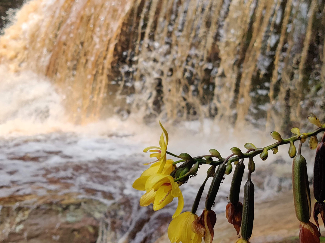 Maliau Basin Conservation Area-斗湖必去景点