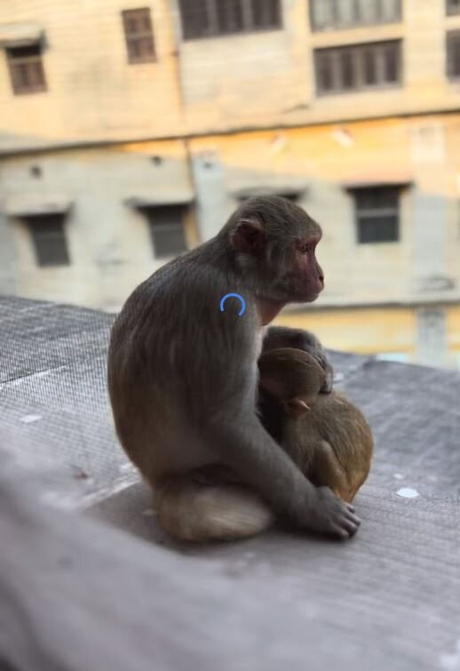 布里拉马宫文物酒店主图