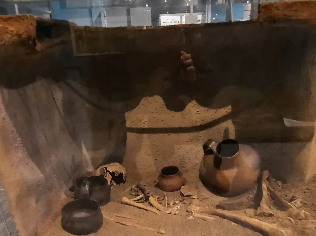 Museo Civico di Geopaleontologia e Preistoria dei Colli Albani-韦莱特里必去景点