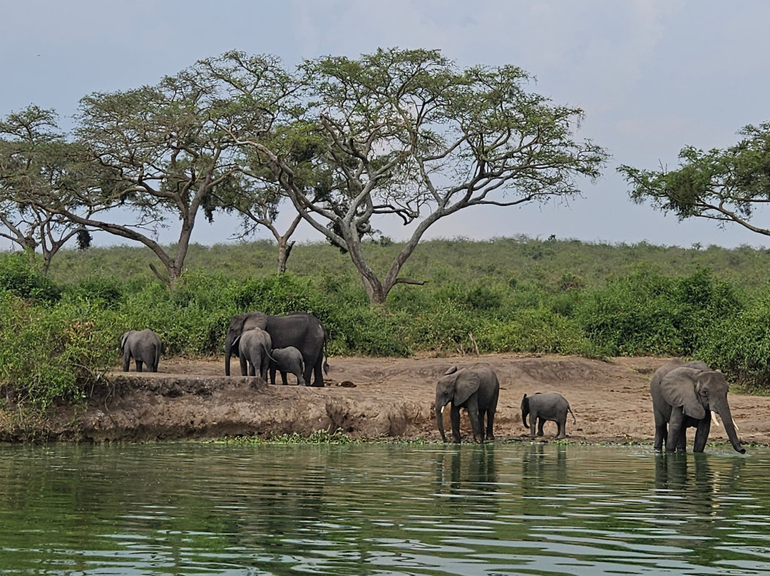 Kazinga Elephant Boat Safaris-Katunguru必去景点