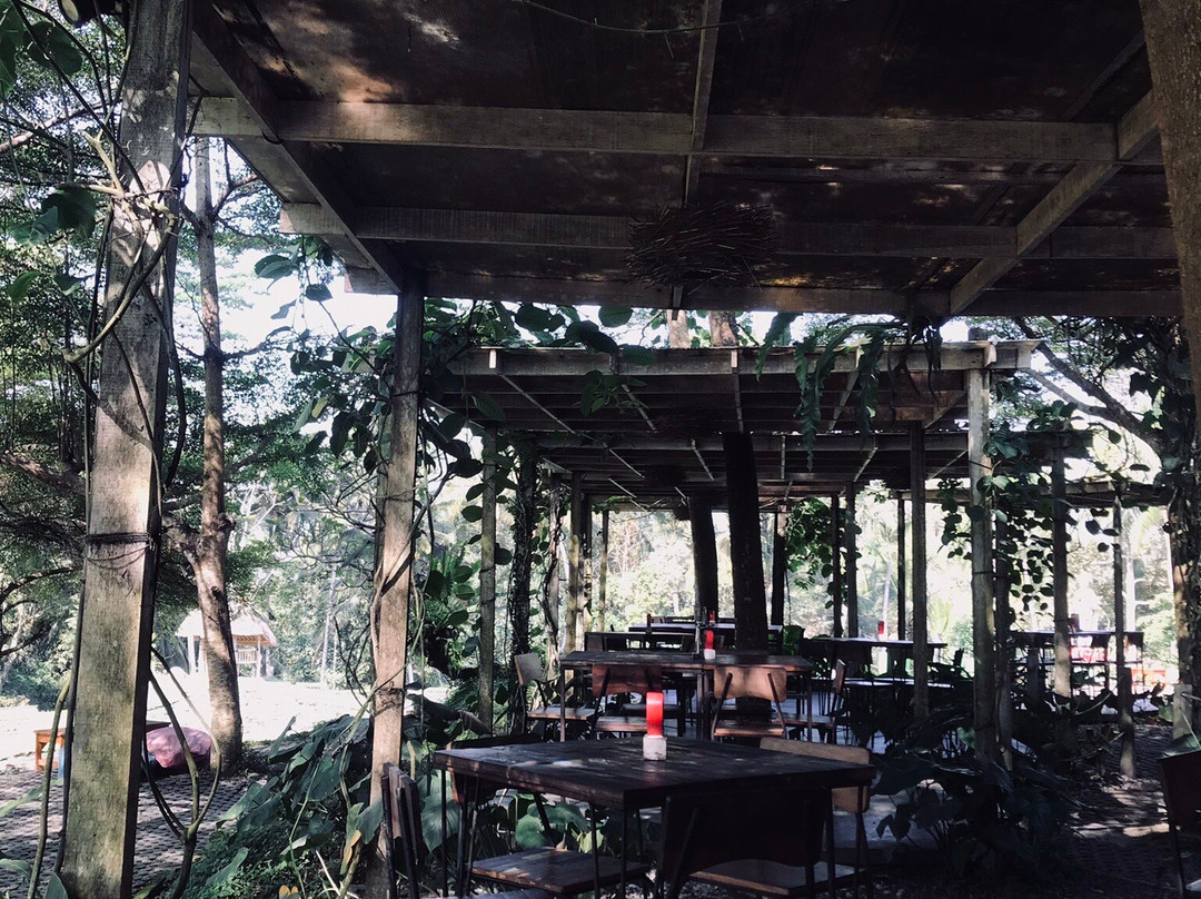 Bali Drive Service-乌布必去景点