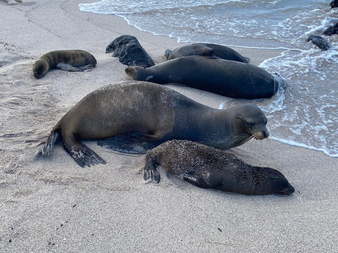 GALAPAGOS ECUADOORS-圣克鲁斯必去景点
