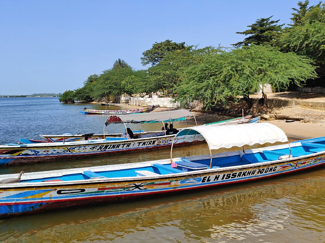 Parc National du Delta du Saloum景点图片