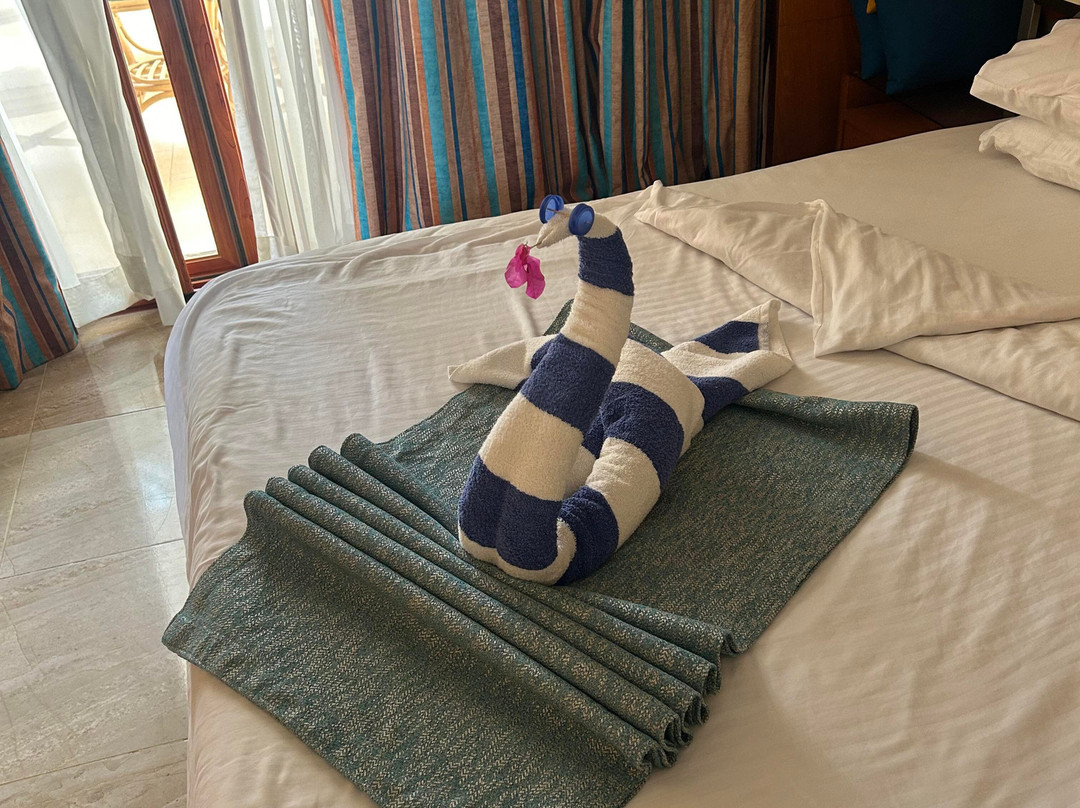 Swiss Inn Resort Dahab主图