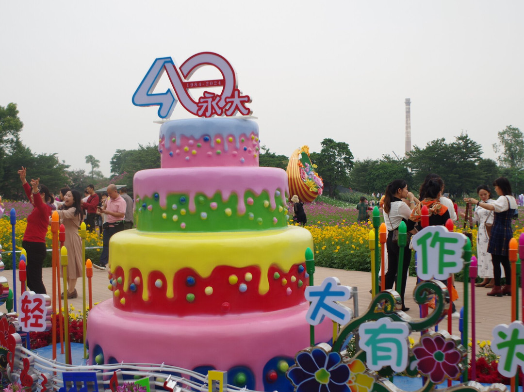菊城金瓣-中山市必去景点