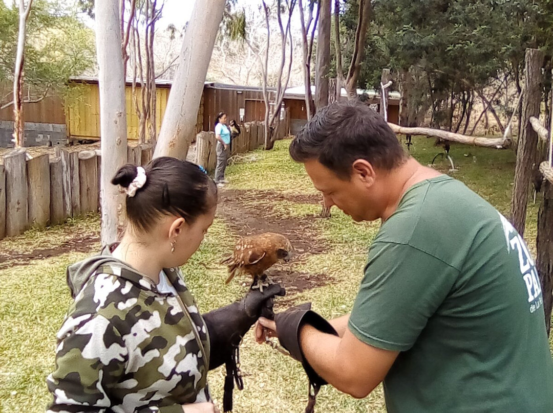 Zoo Parc De La Réunion景点图片