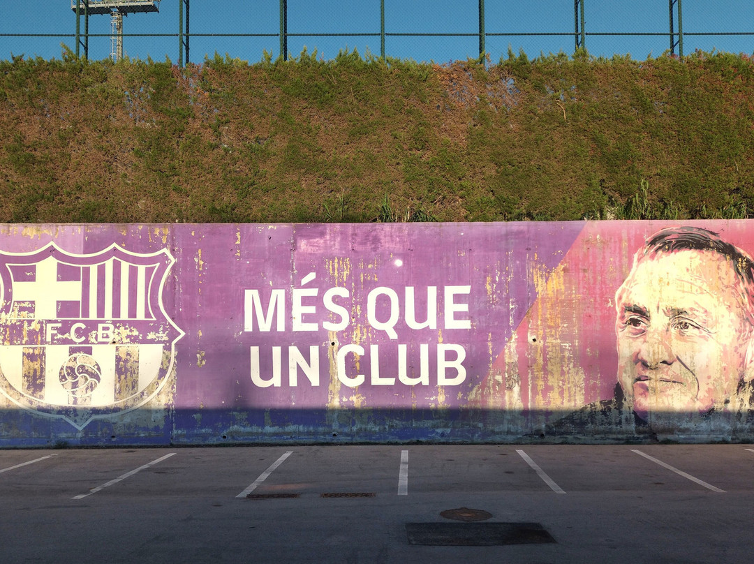 Estadi Johan Cruyff景点图片