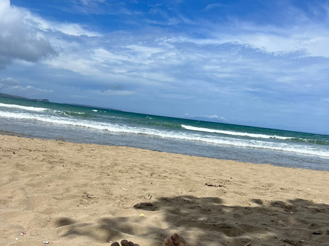 Long Bay Regional Park-Long Bay必去景点