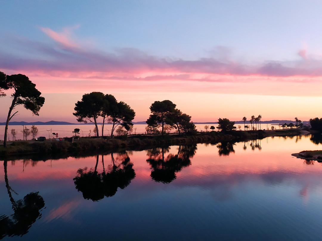 Hôtel Plein Sud Hyères, Vacances Bleues主图