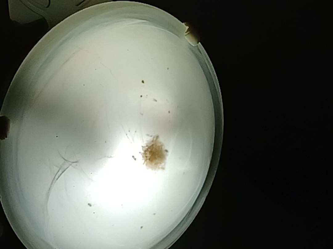 Hotel Pousada Bambuzal主图