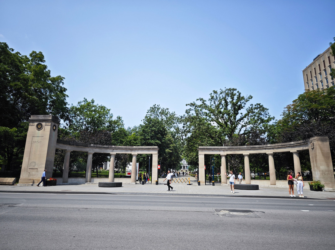 麦吉尔大学-蒙特利尔必去景点