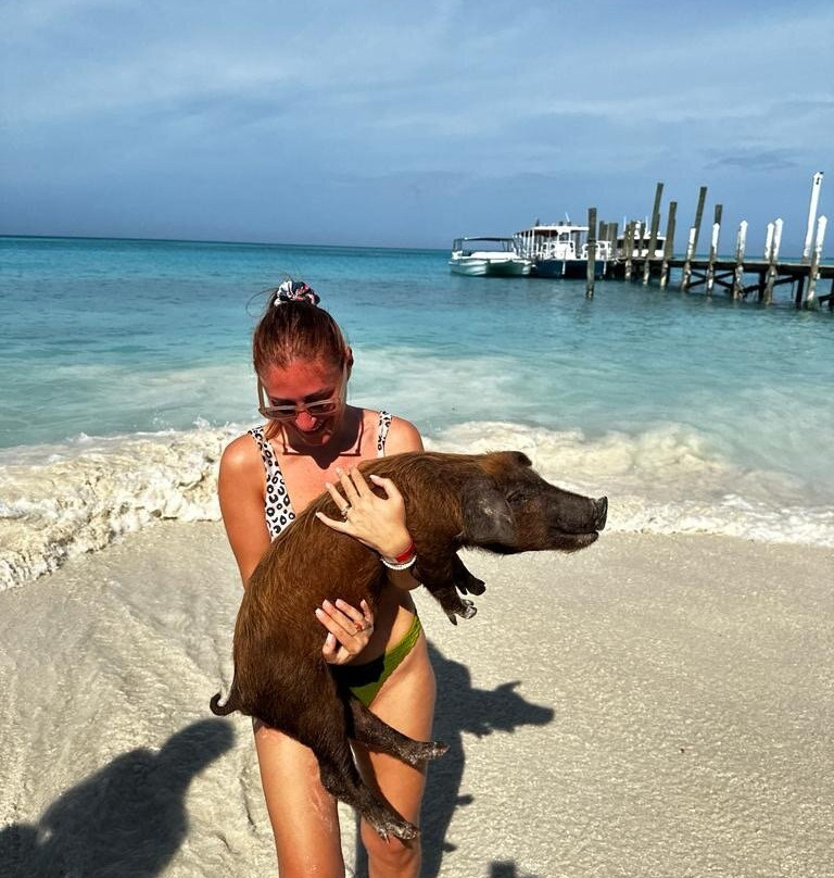 Da Pig Beach Nassau-拿骚必去景点