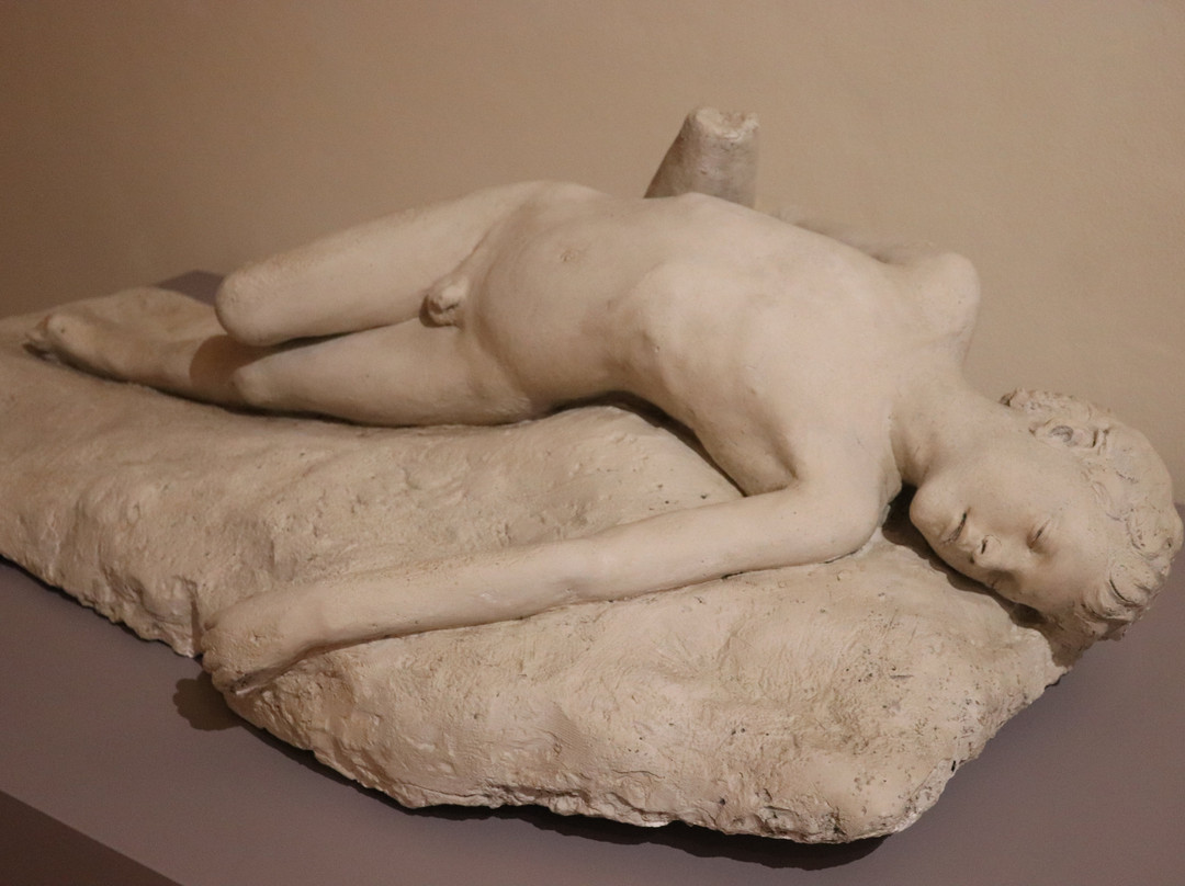 Pinacoteca G Stuard景点图片