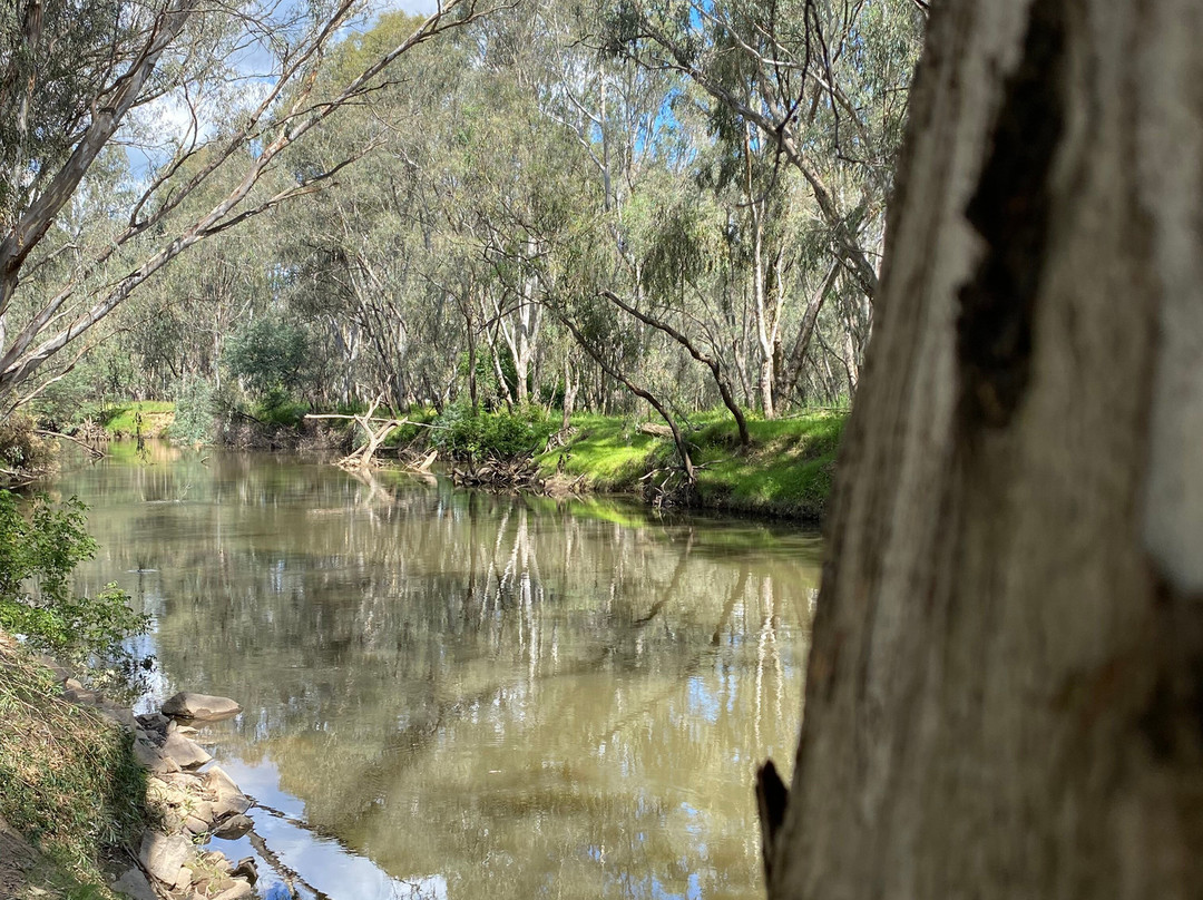 Frank Garth Reserve-Wangaratta必去景点