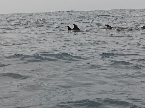 Captain Barnaba Excursions-桑给巴尔岛必去景点