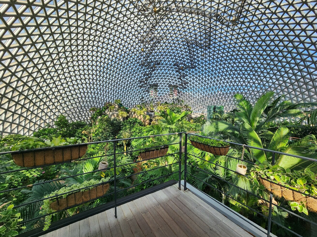 Geoje Botanic Garden Jungle Dome