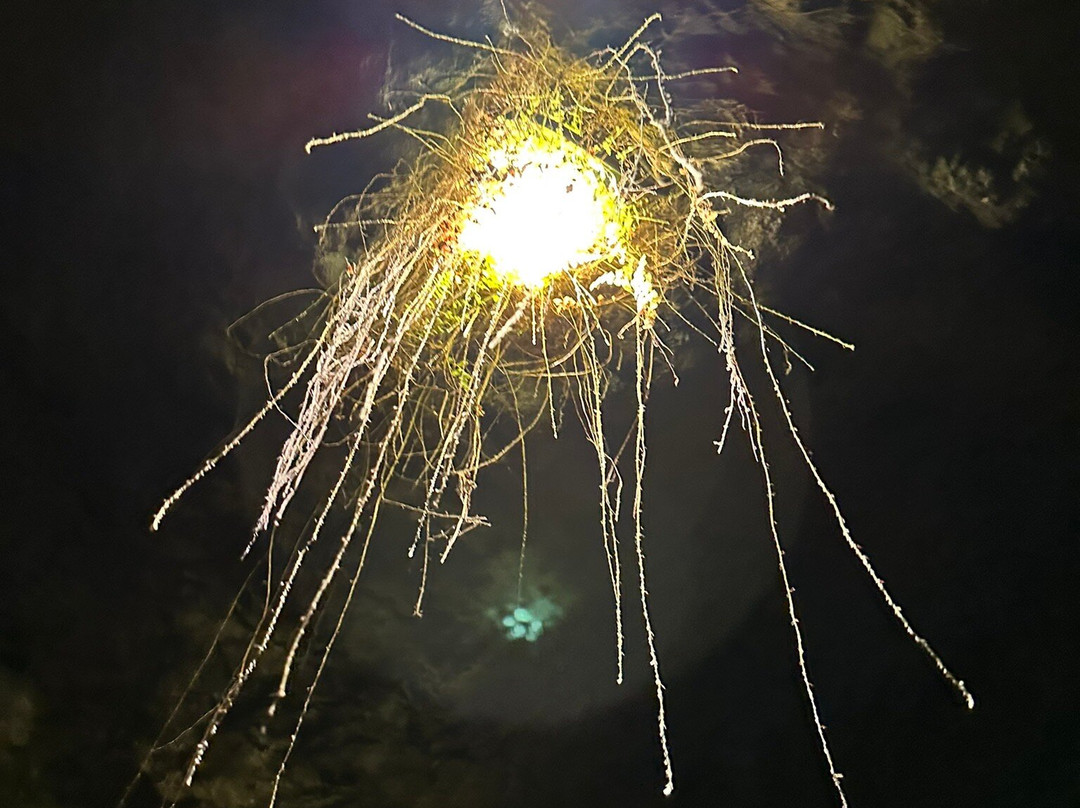 Anfiteatro de Villa-Ciudad Colon必去景点