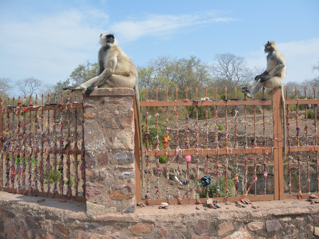 Ranthambore Fort景点图片