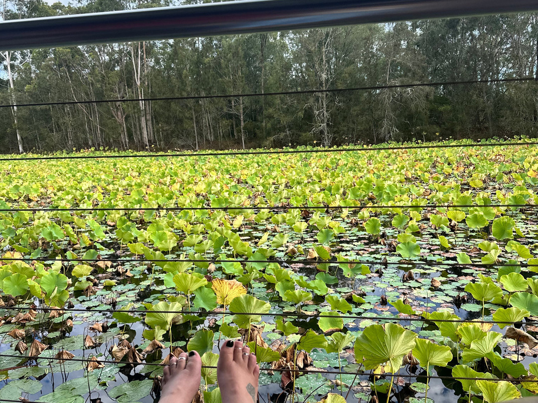 The Boathouses at Leaves & Fishes主图