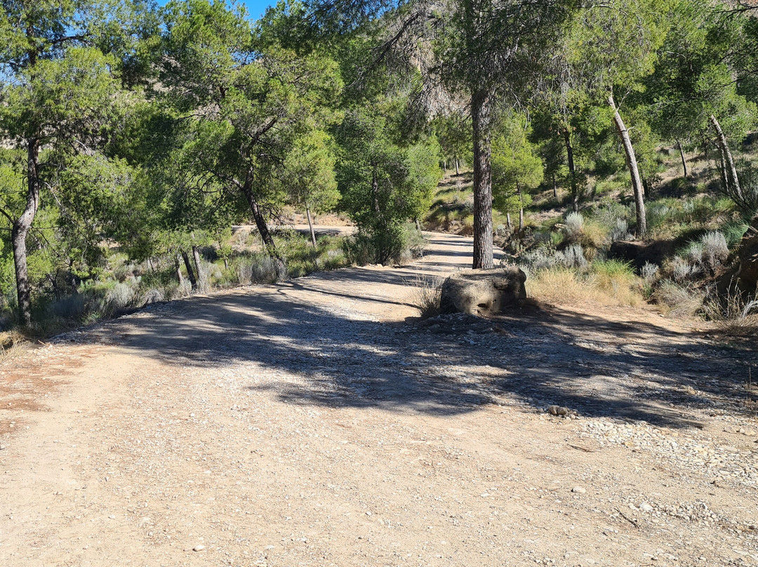Mirador Del Azud De Ojós-Ojos必去景点