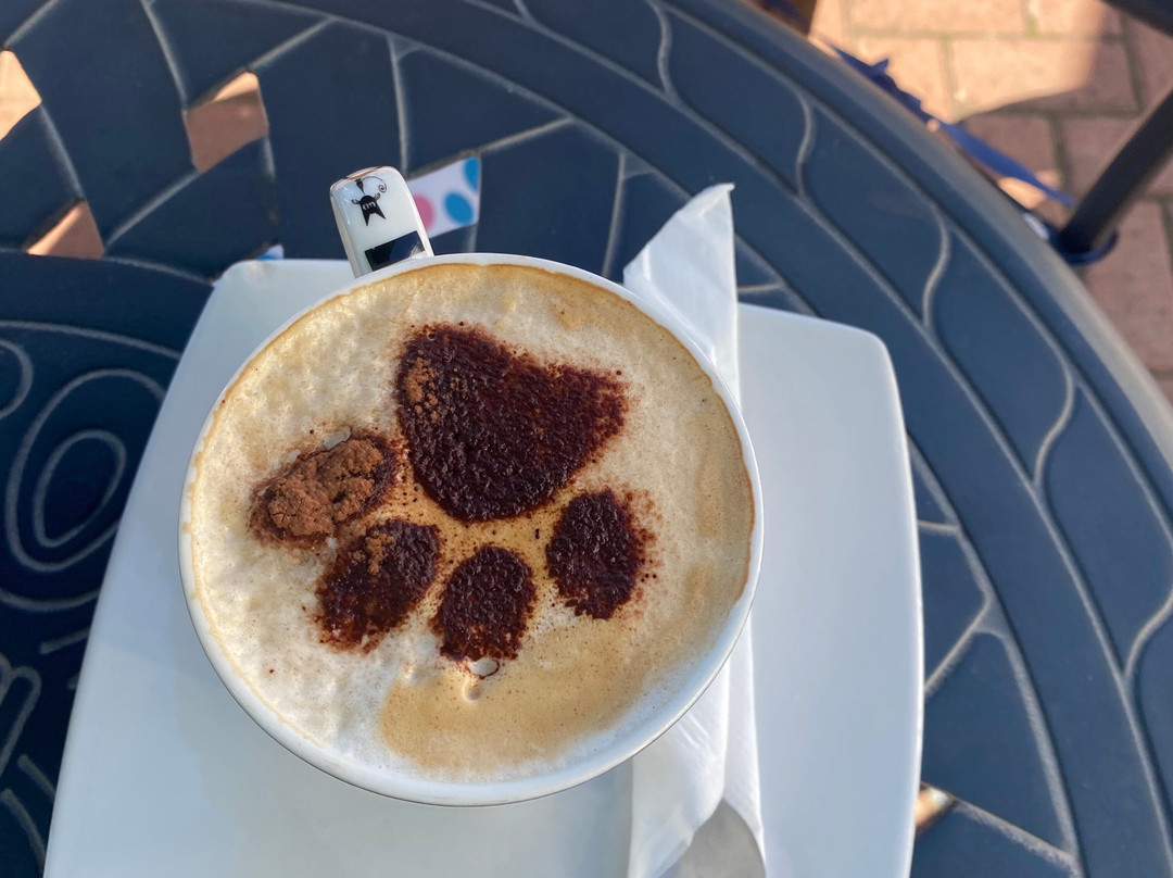 Cat Heaven Rescue Cat Cafe-西索美塞必去景点