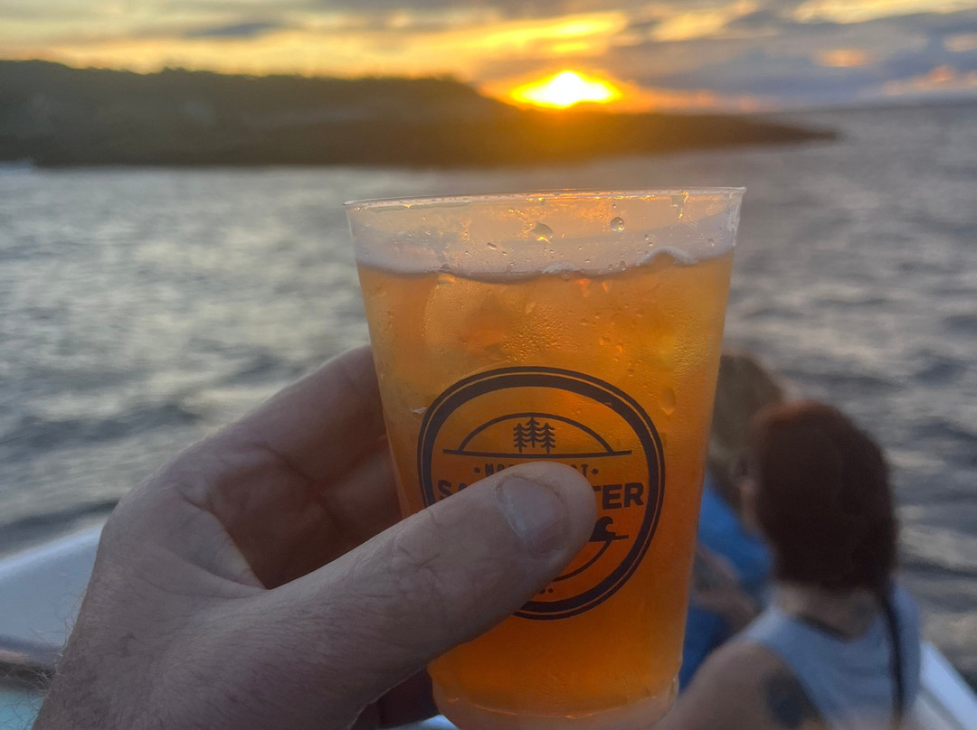 Lady Oyster Tours-巴斯必去景点