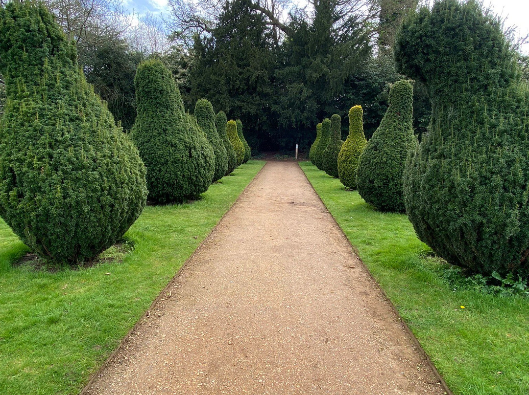 Hylands Gardens & Parkland景点图片
