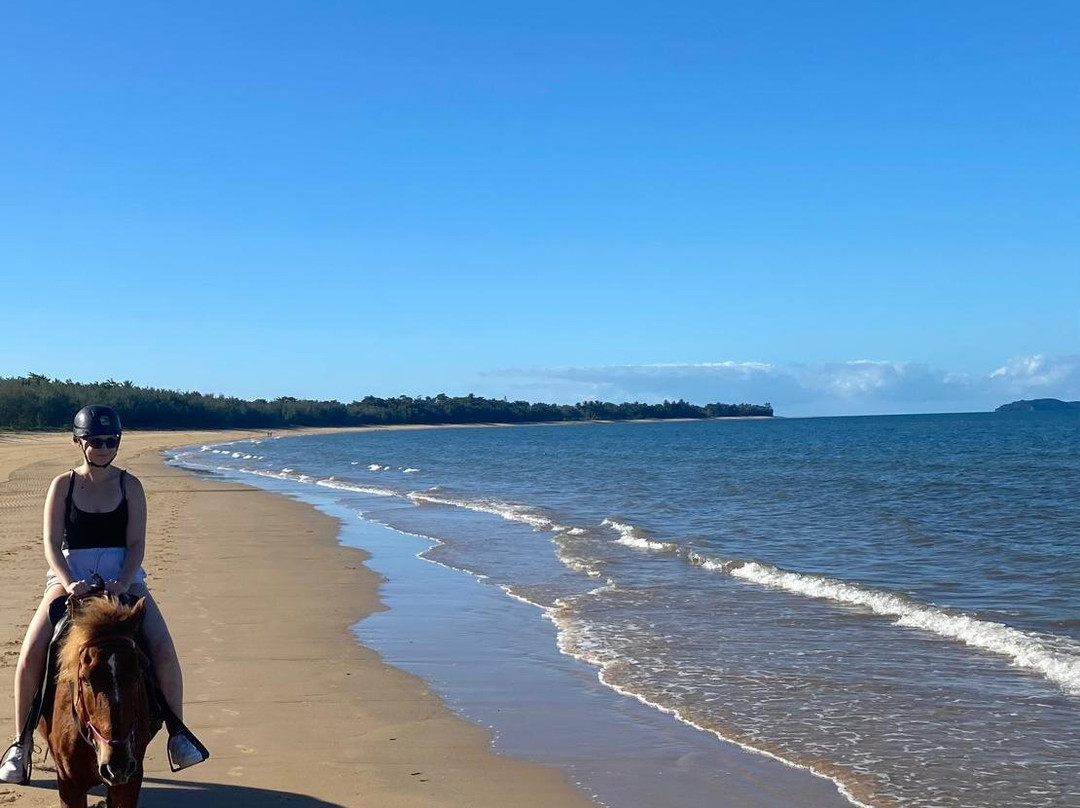 Kurrimine Beach Horse Rides景点图片
