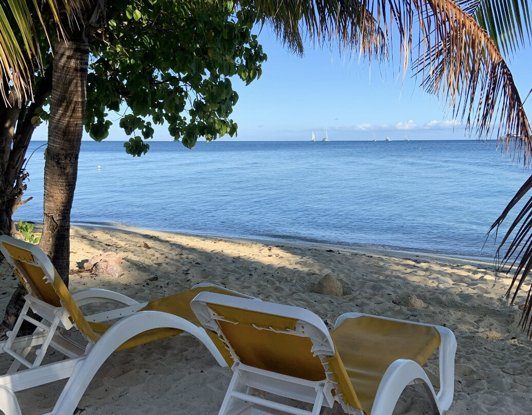 种植园岛度假酒店主图