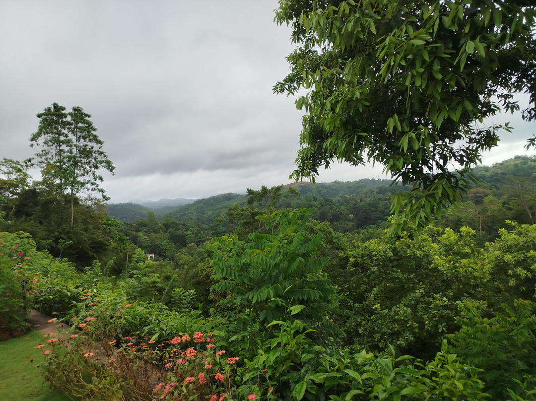 Kobbekaduwa Bungalow主图