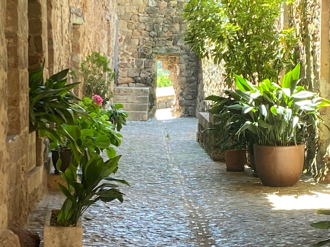Portal De Sant Antoni景点图片