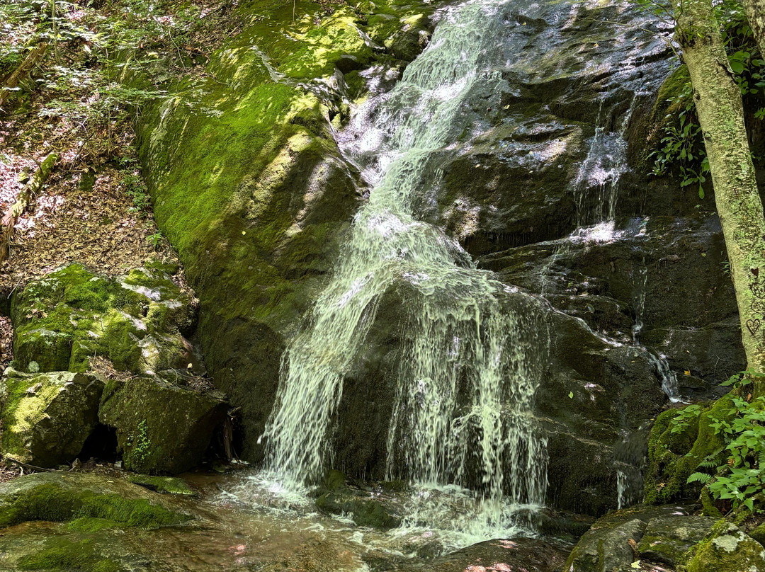 Crabtree Falls-Wintergreen必去景点