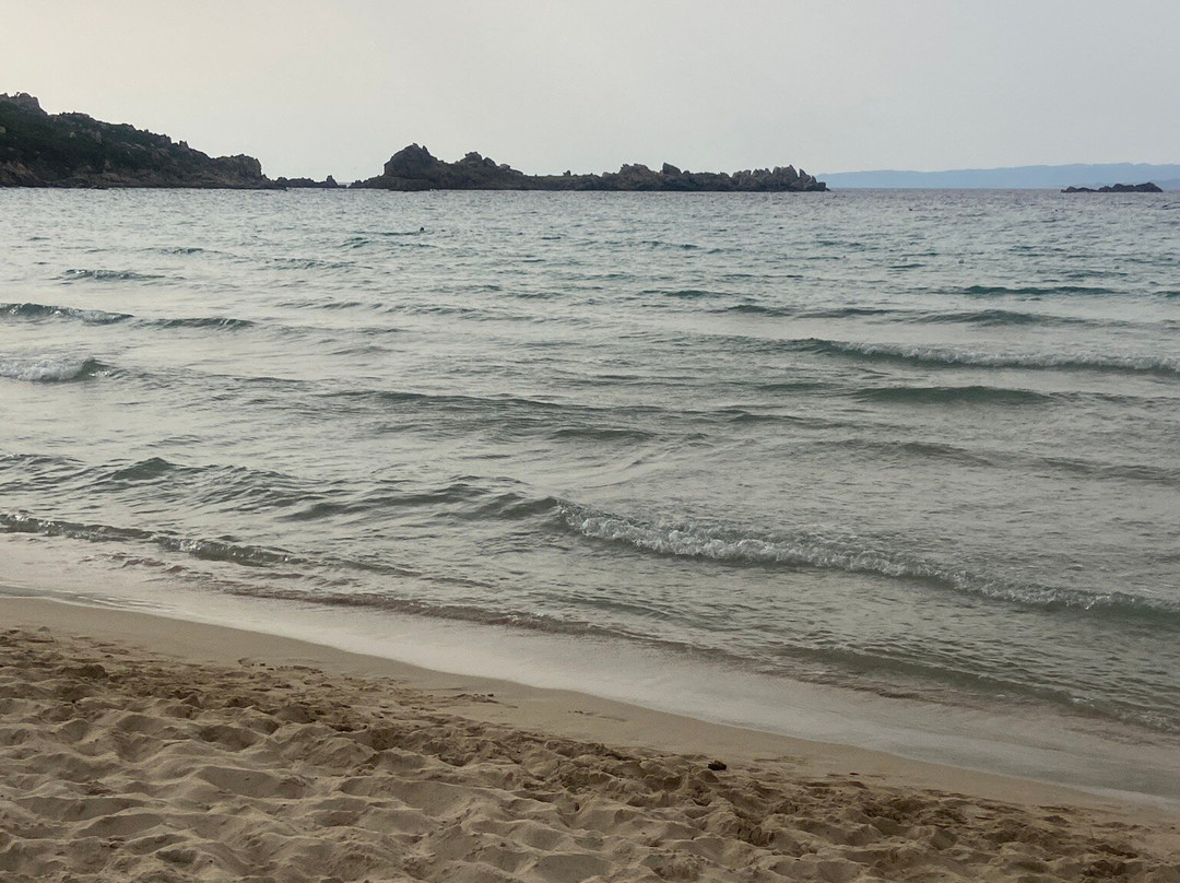 Spiaggia Rena di Ponente-圣特雷莎加卢拉必去景点