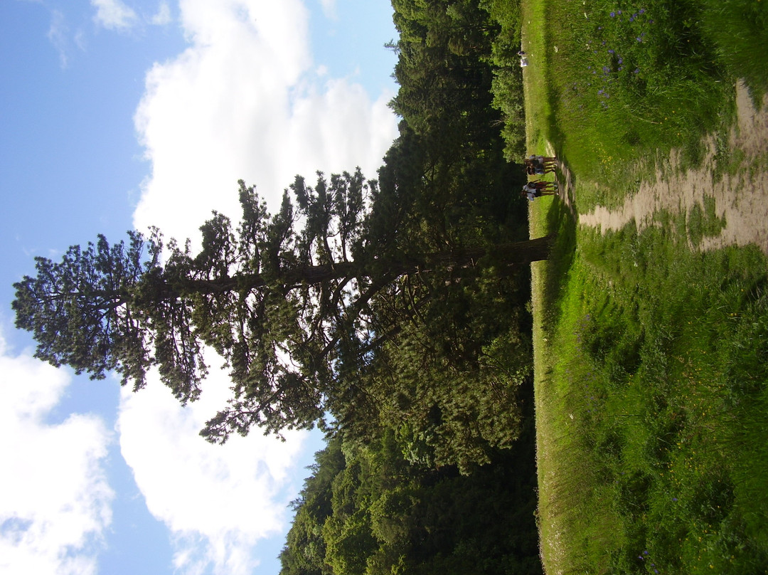 Tweed Valley Railway Path-皮布尔斯必去景点