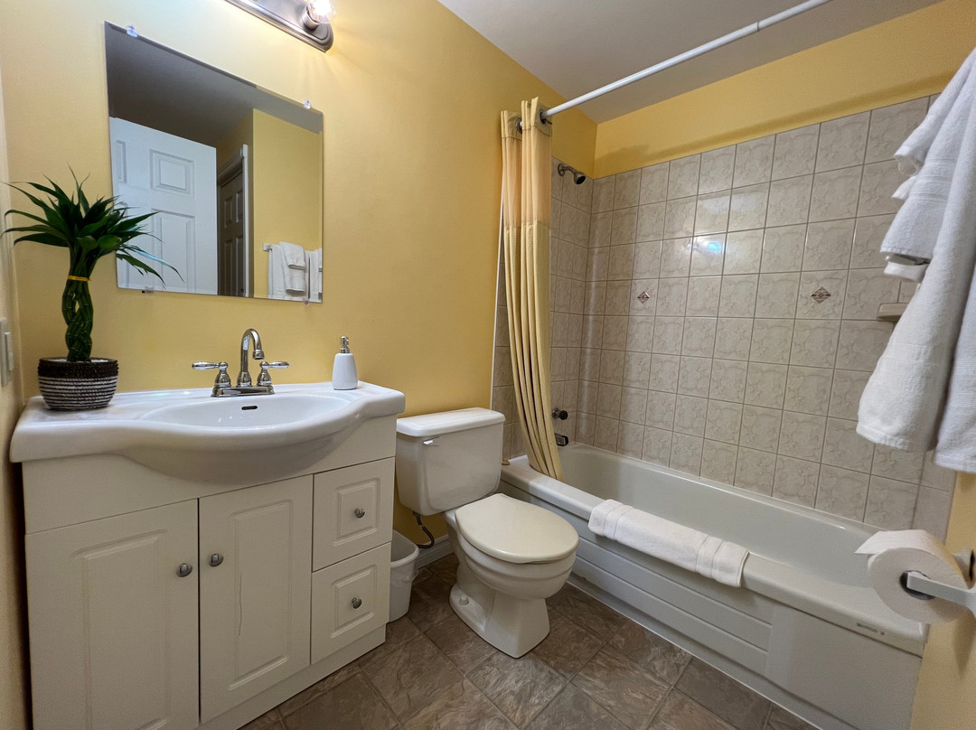 Lee's Ocean Peek B&B主图