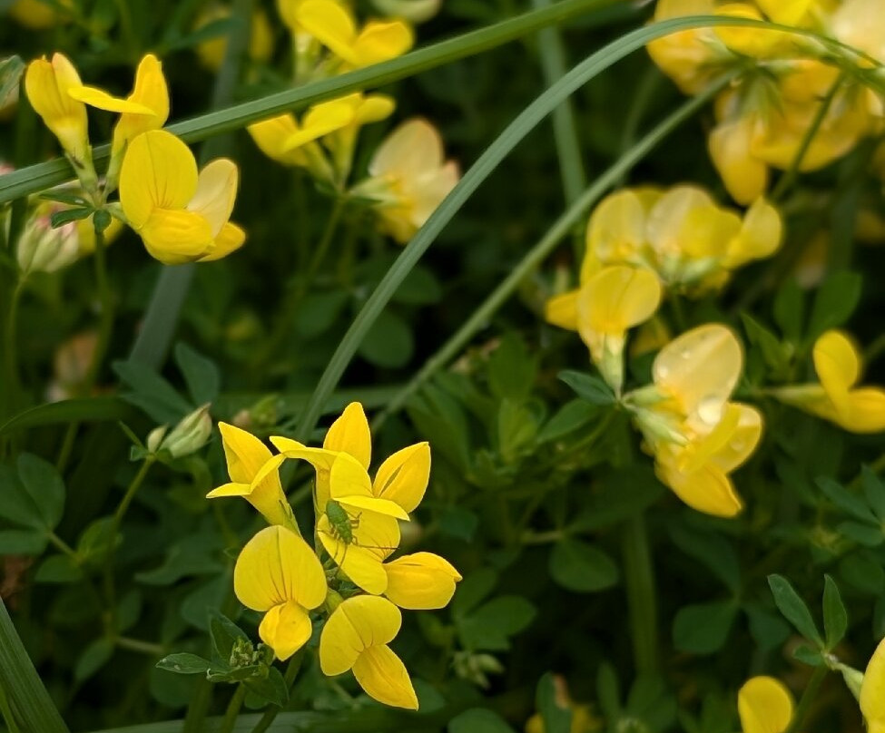 Science Museum of Minnesota-圣保罗必去景点