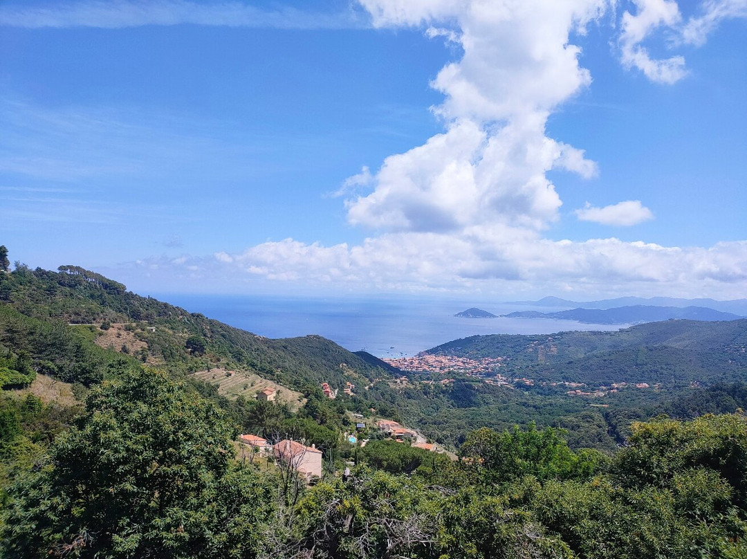 La Rosteria di Regina
