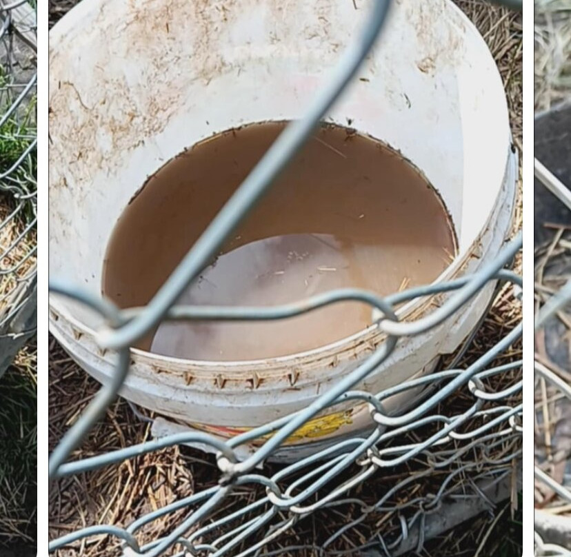 Frog Pond Farms-Bainbridge必去景点