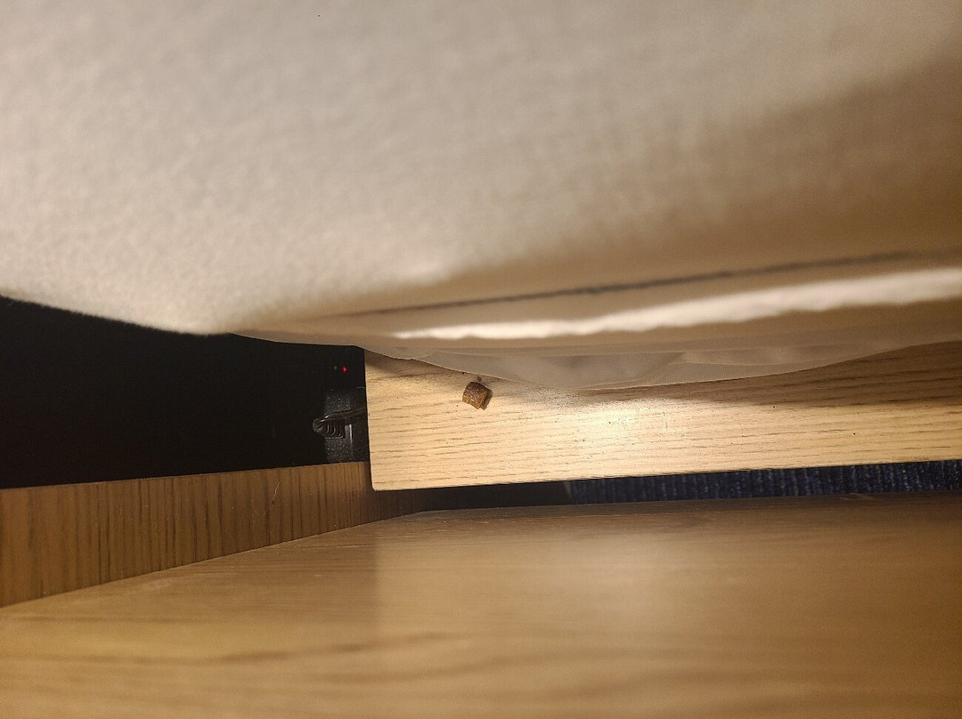 Best Western Plus Butte Plaza Inn主图