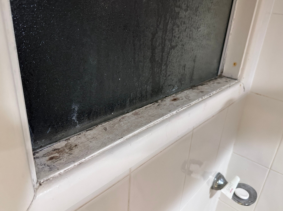 Country Plaza Motor Inn主图