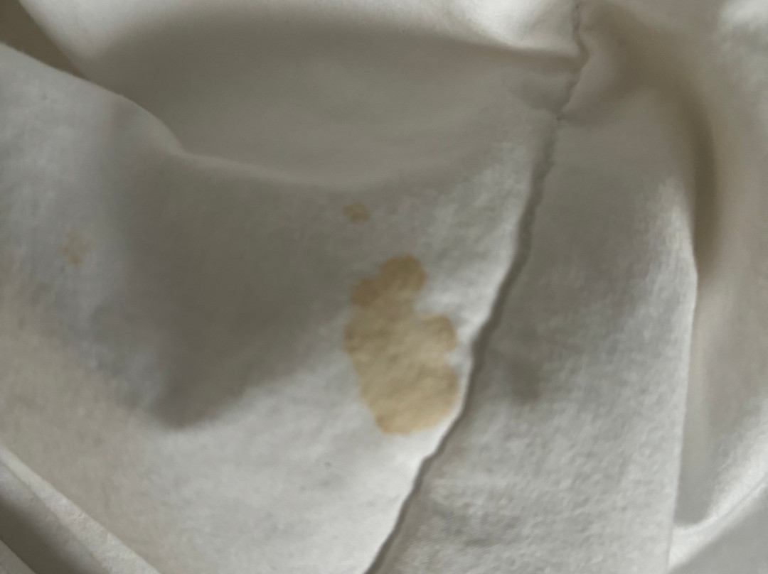 Comfort Suites Ocala North主图