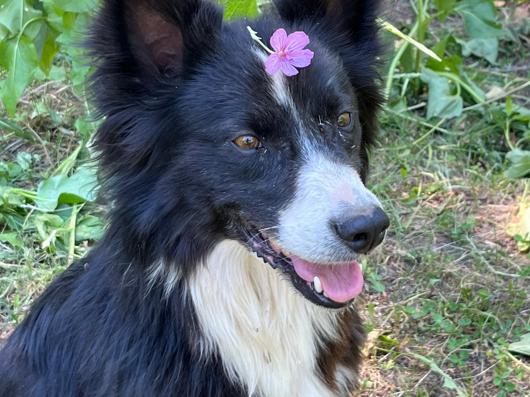 Bagley's Teton Mountain Ranch-Victor必去景点