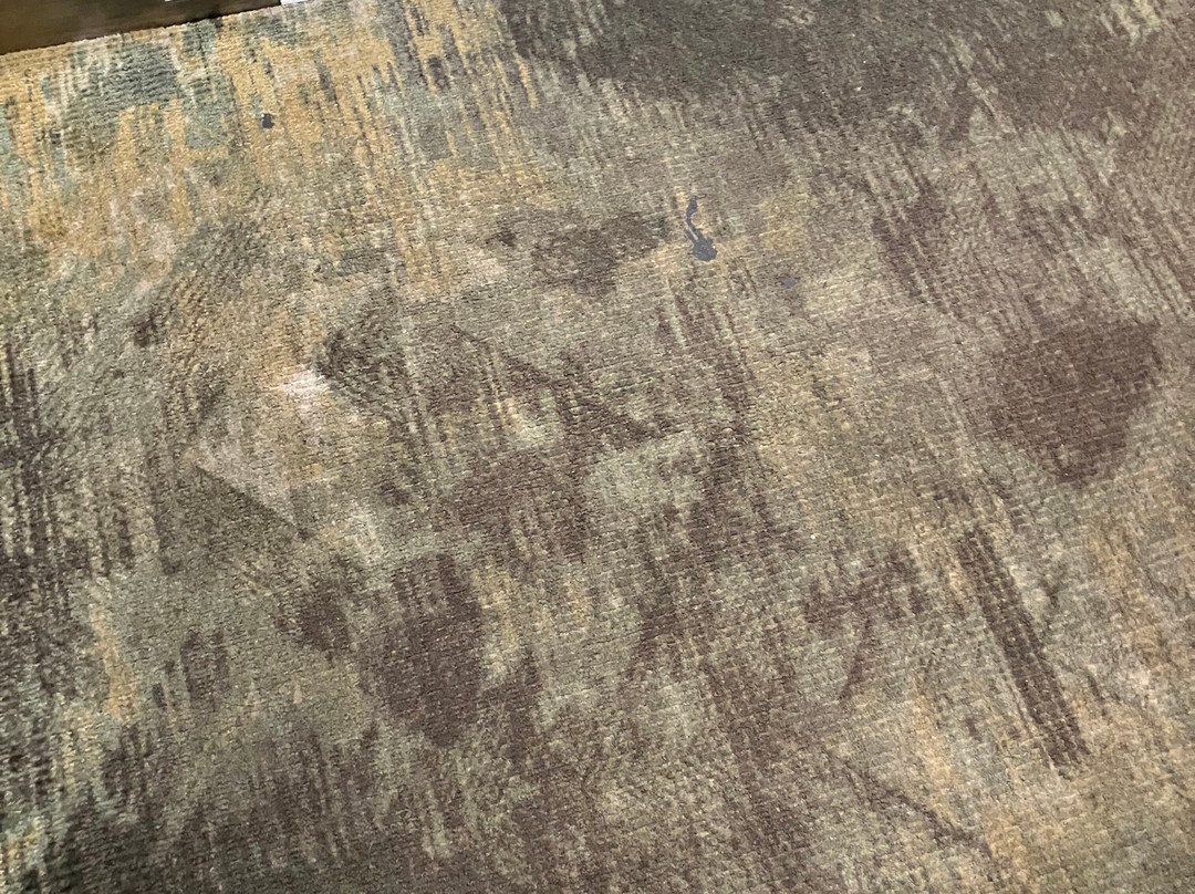 The Hamilton Alpharetta, Curio Collection by Hilton主图